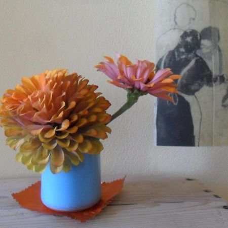 B&B Casa Pascolone Pegognaga Bagian luar foto