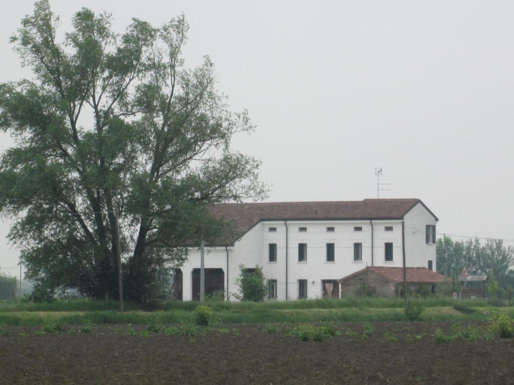 B&B Casa Pascolone Pegognaga Bagian luar foto
